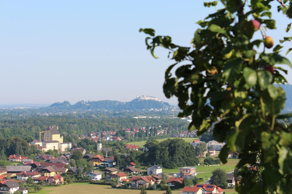 Haus Haslach Elsbethen Cameră foto